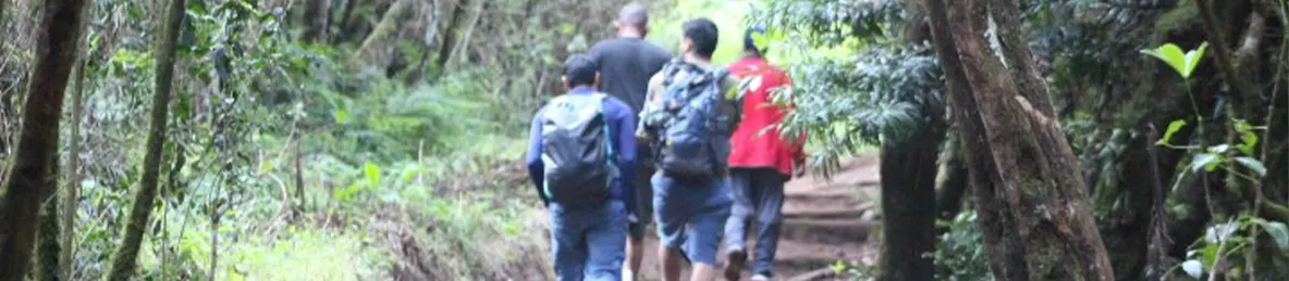 Kilimanjaro Marangu Route 